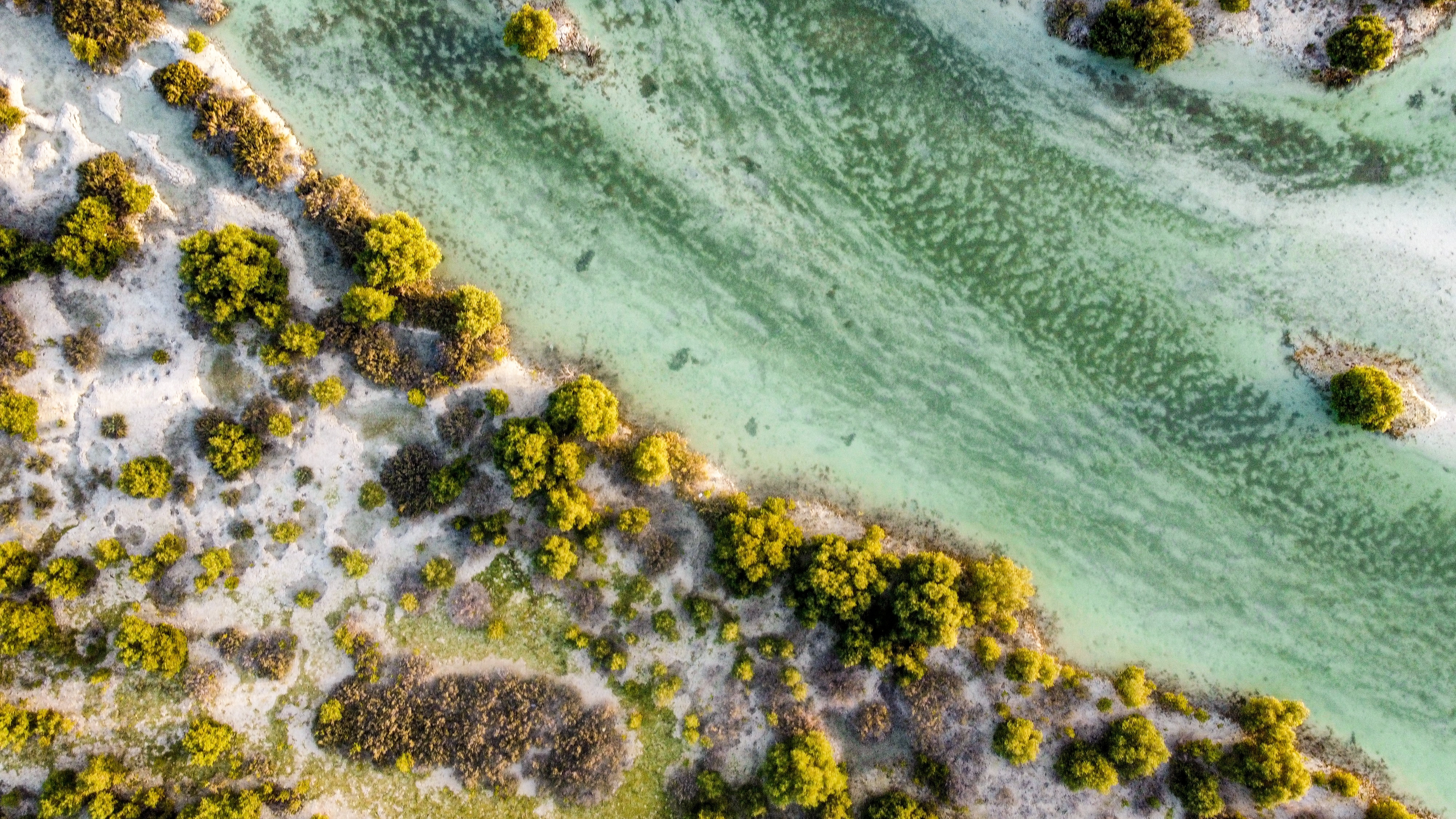 Aerial view of Middle East shoreline