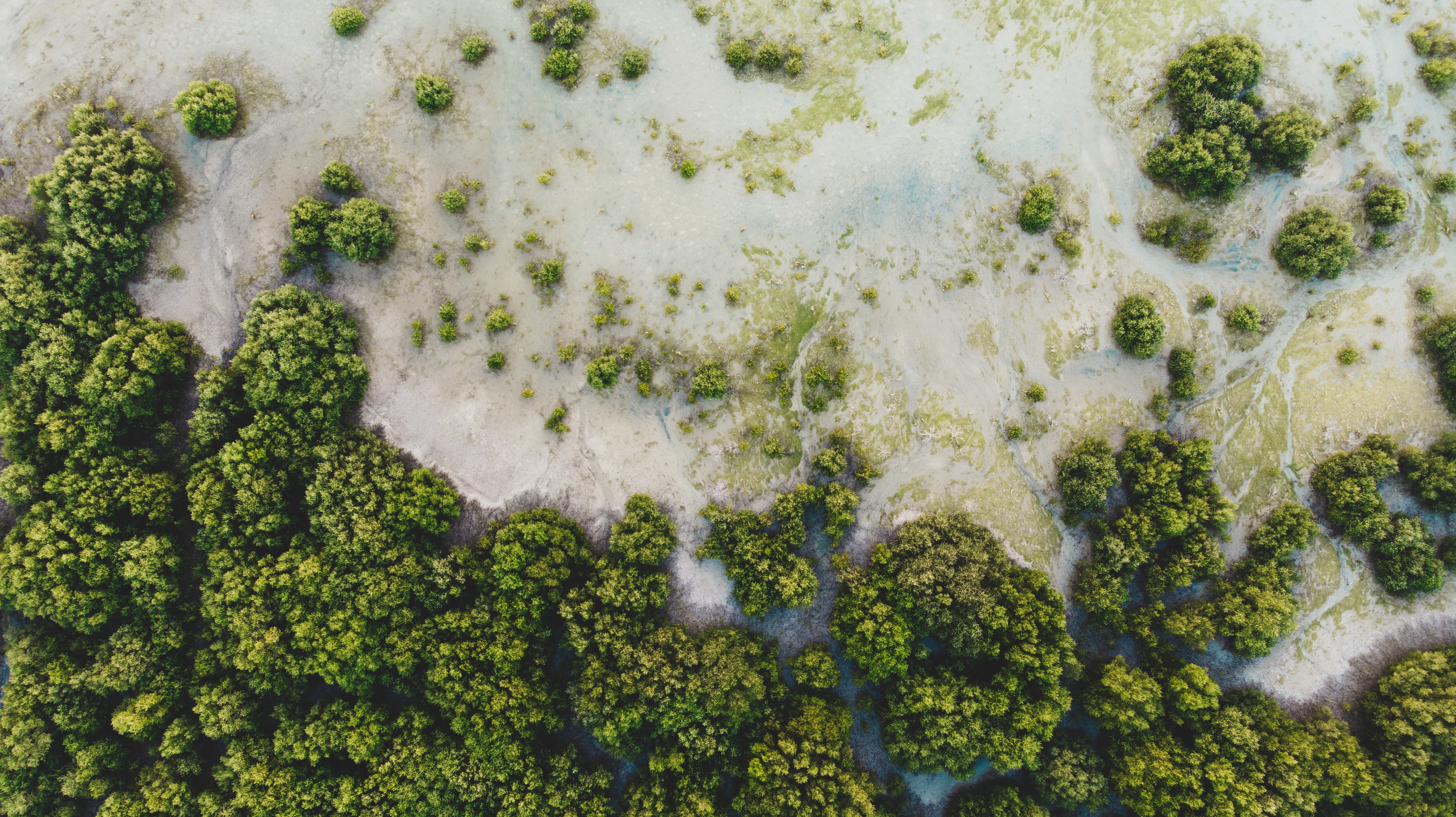 People section aerial landscape