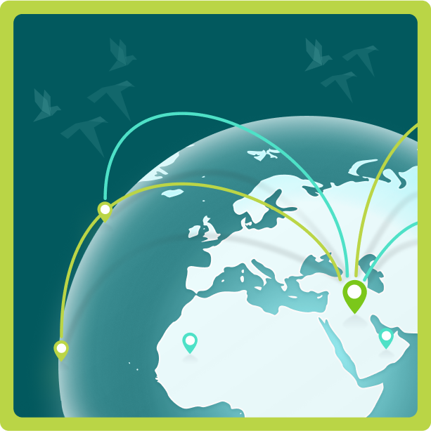 Migrate Map