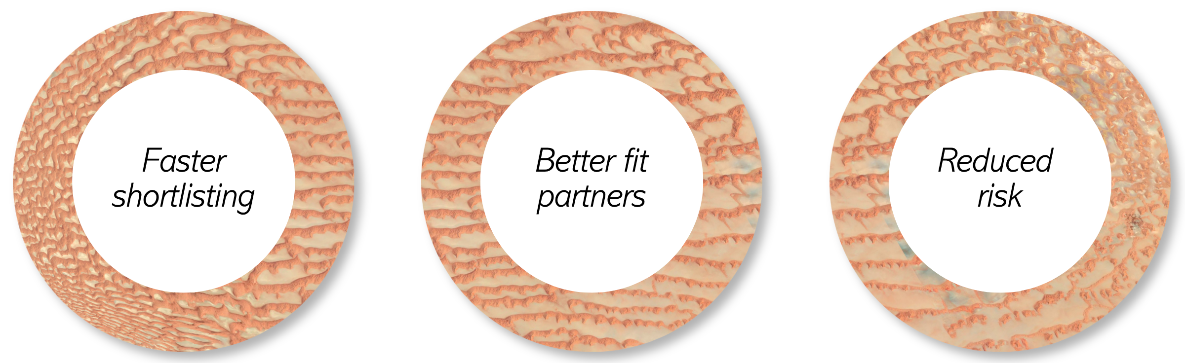 Faster shortlisting, better fit partners, reduced risk